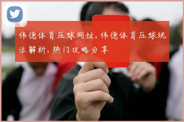 伟德体育压球网址,伟德体育压球玩法解析,热门攻略分享