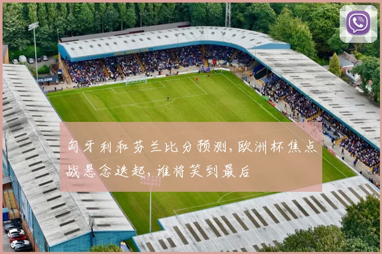 匈牙利和芬兰比分预测,欧洲杯焦点战悬念迭起,谁将笑到最后