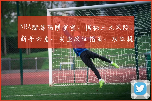 NBA赌球陷阱重重，揭秘三大风险，新手必看，安全投注指南，助你稳中求胜